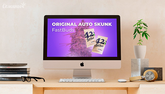 Гроурепорт сорта Auto Skunk