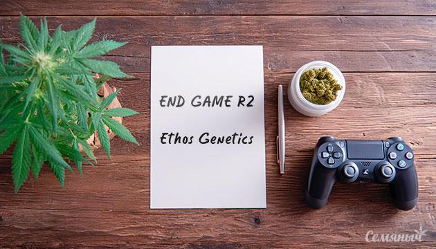 Гроурепорт сорта марихуаны End Game R2 fem от сидбанка Ethos Genetics